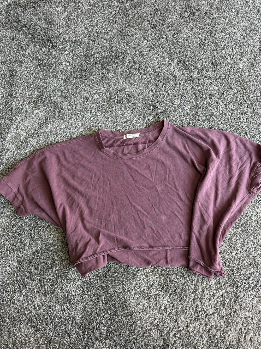 We the Free Crop Tee in Dusty Mauve - Spot